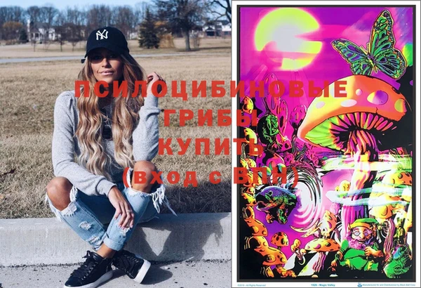 ПСИЛОЦИБИНОВЫЕ ГРИБЫ Киров