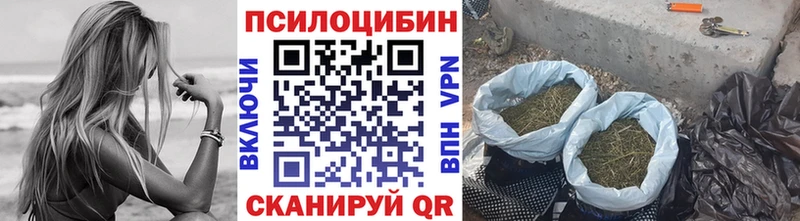 Галлюциногенные грибы GOLDEN TEACHER  МЕГА ССЫЛКА  Керчь 