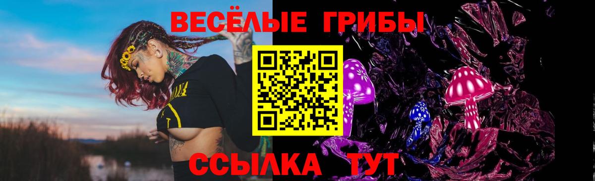 Галлюциногенные грибы мухоморы Керчь